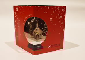 caseleft_xmasDM