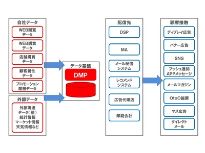 DMP.jpg